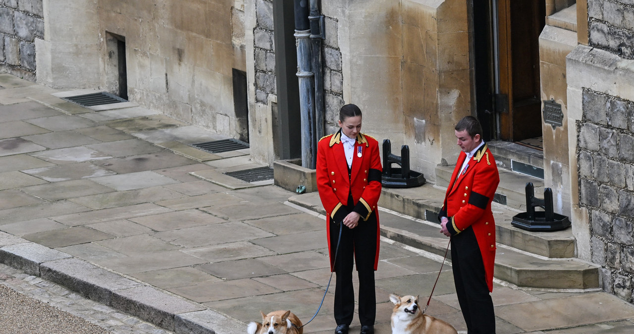 Ukochane Corgi Elżbiety żegnają królową /WPA Pool / Pool /Getty Images