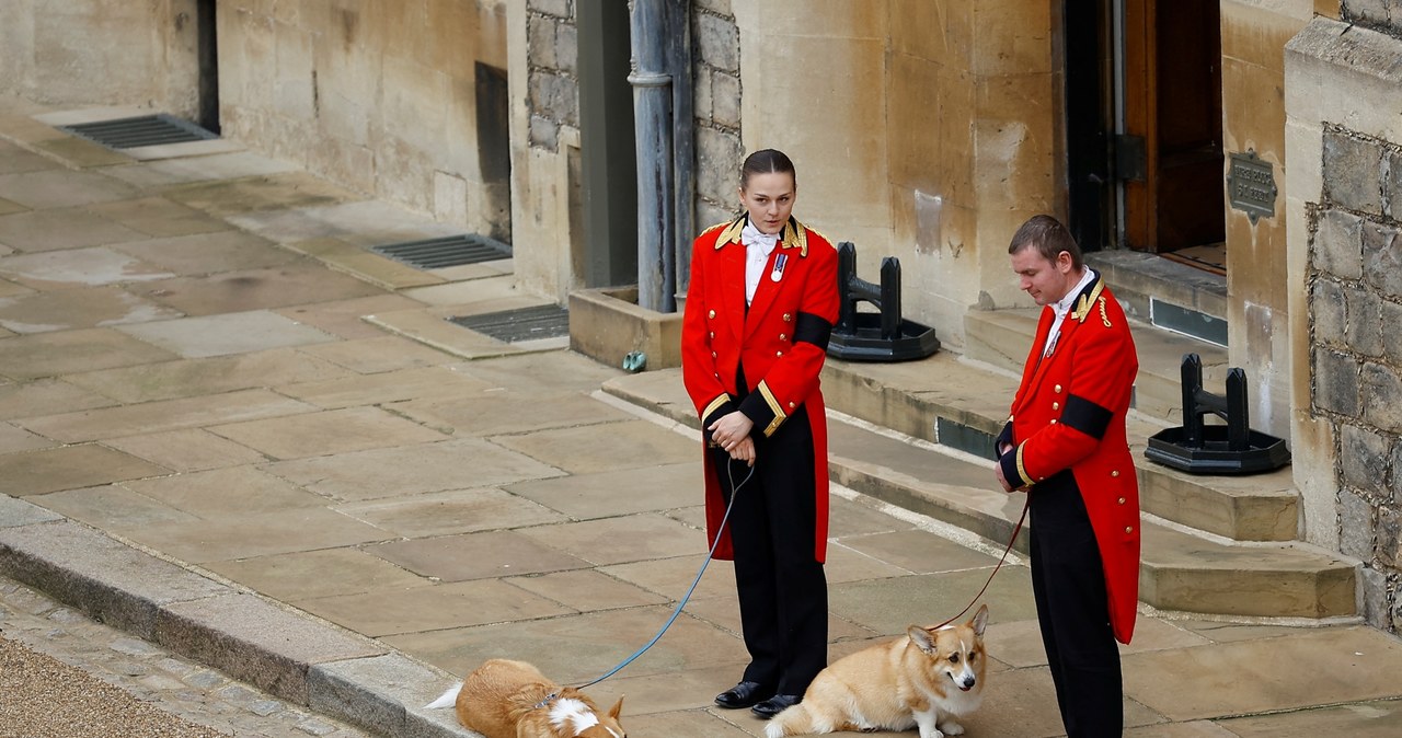 Ukochane Corgi królowej Elżbiety II /WPA Pool / Pool /Getty Images