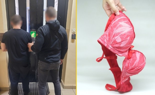 Ukradł bieliznę za 60 tys. zł. Nie zrobił tego dla ukochanej