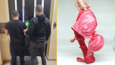 Ukradł bieliznę za 60 tys. zł. Nie zrobił tego dla ukochanej