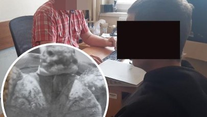 Ukradł żółwia w zoologicznym, potem wrócił po karmę. Żółwia miał w kieszeni