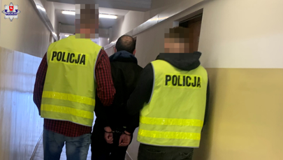 Ukradli alkohol, papierosy i wędliny. Trzech mężczyzn z zarzutami