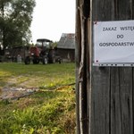 ​Ukraina grozi przywróceniem embarga na polską wieprzowinę