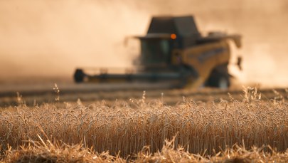 Ukraina: Inicjatywa zbożowa przedłużona o 120 dni