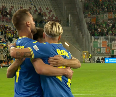 Ukraina - Irlandia. Skrót meczu. WIDEO (Polsat Sport)