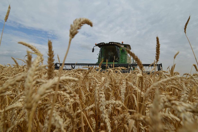 Ukraina ma problemy z suszą /AFP