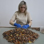 Ukraina ma wielki problem z bursztynem. Przez wojnę biznes przejmują mafie