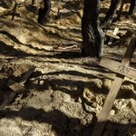 Ukraina: Odnaleziono kolejny masowy grób