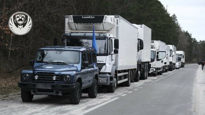 Ukraina odzyskała ciała żołnierzy. Tysiąc poległych wróciło do kraju