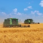 Ukraina oskarża Rosję. "Ukradli nam ponad 2 miliony ton zboża"