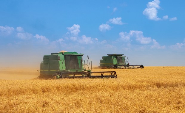 Ukraina oskarża Rosję. "Ukradli nam ponad 2 miliony ton zboża"