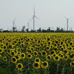 Ukraina przyspieszy dekarbonizację i przejście na zieloną energię