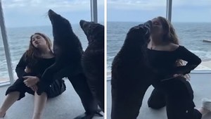 Ukraina: Skandal w delfinarium. Zwierzęta "wypożyczane" do pokoi