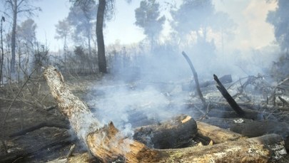 Ukraina: Ugaszono pożar w strefie wokół elektrowni w Czarnobylu