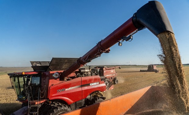 Ukraina wzywa ambasadora Izraela. Spór o zboże z okupowanych terenów