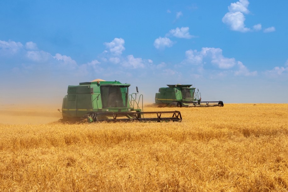 Ukraina zarzuca Rosjanom kradzież zboża z okupowanych terenów (zdj. poglądowe) /Shutterstock