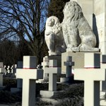 Ukraińcy chcą usunąć lwy z Cmentarza Orląt. "Symbol polskiej okupacji"