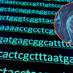 Ukraińcy dostali mobilne laboratorium analizujące DNA, które pozwoli ścigać rosyjskich zbrodniarzy wojennych