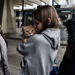 Ukraińcy o swoich zwierzętach: Nie mogliśmy ich zostawić