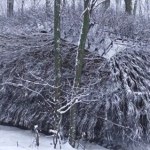 Ukraińcy przejęli pierwsze rosyjskie "pancerne jeże"