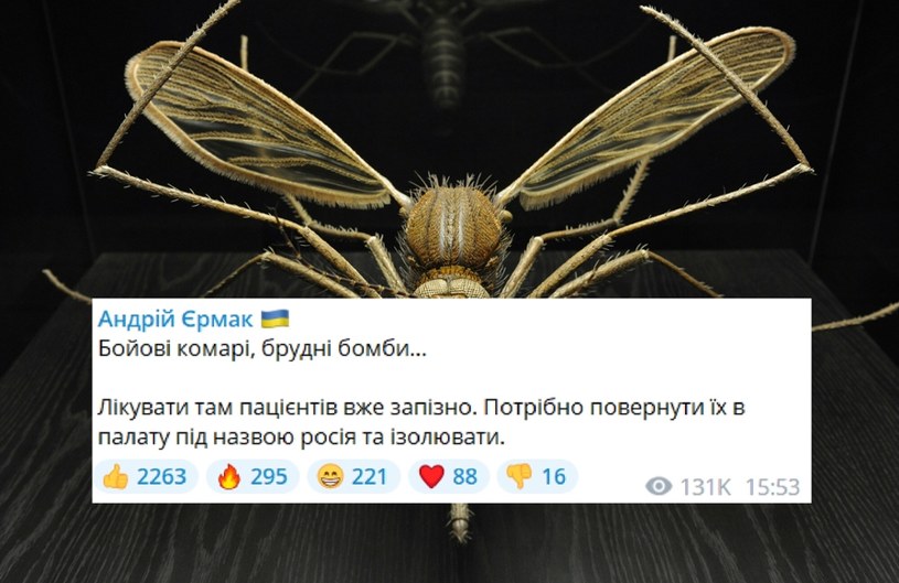 Ukraińcy śmieją się z Rosjan, którzy wierzą w najbardziej absurdalne teorie spiskowe, które serwuje kremlowska propaganda /East News