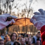 Ukraina Ukraińcy zebrali się po zmroku. Z toreb wypuścili setki zwierząt