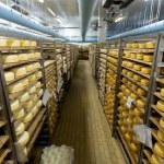 Ukrainę zalewają importowane sery, głównie z Polski. Chcą interwencji rządu 