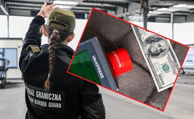 Ukrainka z nietypowym bagażem. Studolarówka postawiła służby na nogi