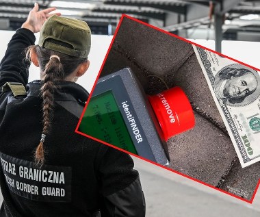 Ukrainka z nietypowym bagażem. Studolarówka postawiła służby na nogi