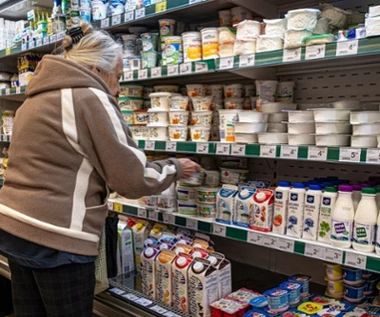 Ukraińscy eksporterzy z rekordem. Do Europy płyną nie tylko mleko i sery