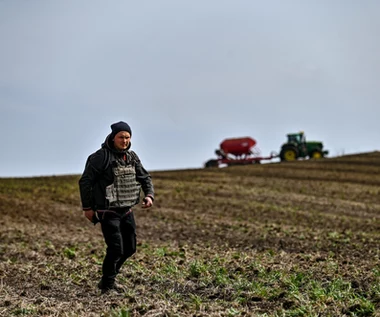 Ukraińscy rolnicy, mimo wojny, obiecują chleb