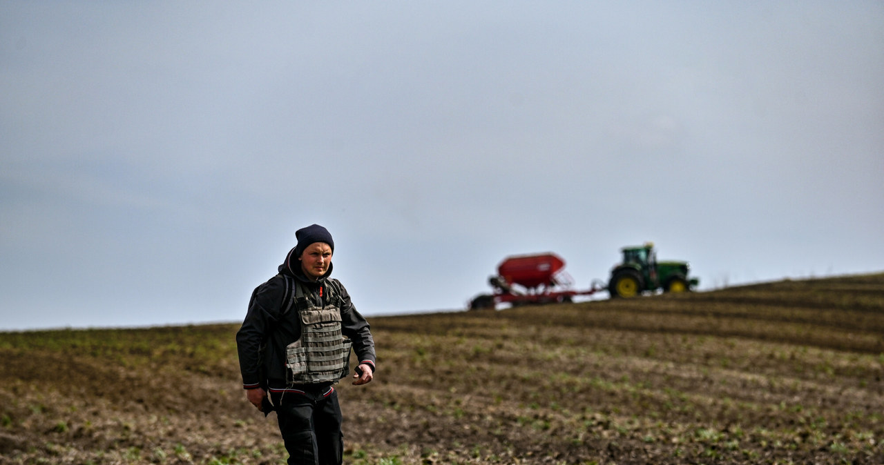 Ukraińscy rolnicy obsiewają pola, a wielu z nich robi to w kamizelkach kuloodpornych /Dmytro Smolyenko/Ukrinform /East News