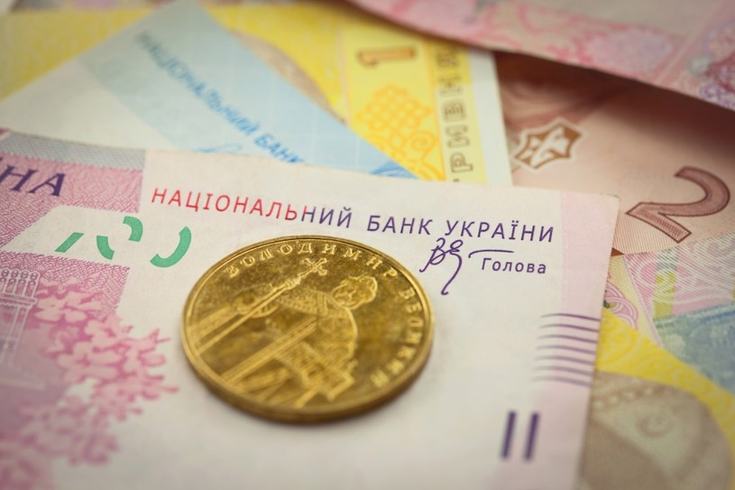 Ukraińska hrywna była jedną z najmocniejszych walut w 2019 r /&copy;123RF/PICSEL