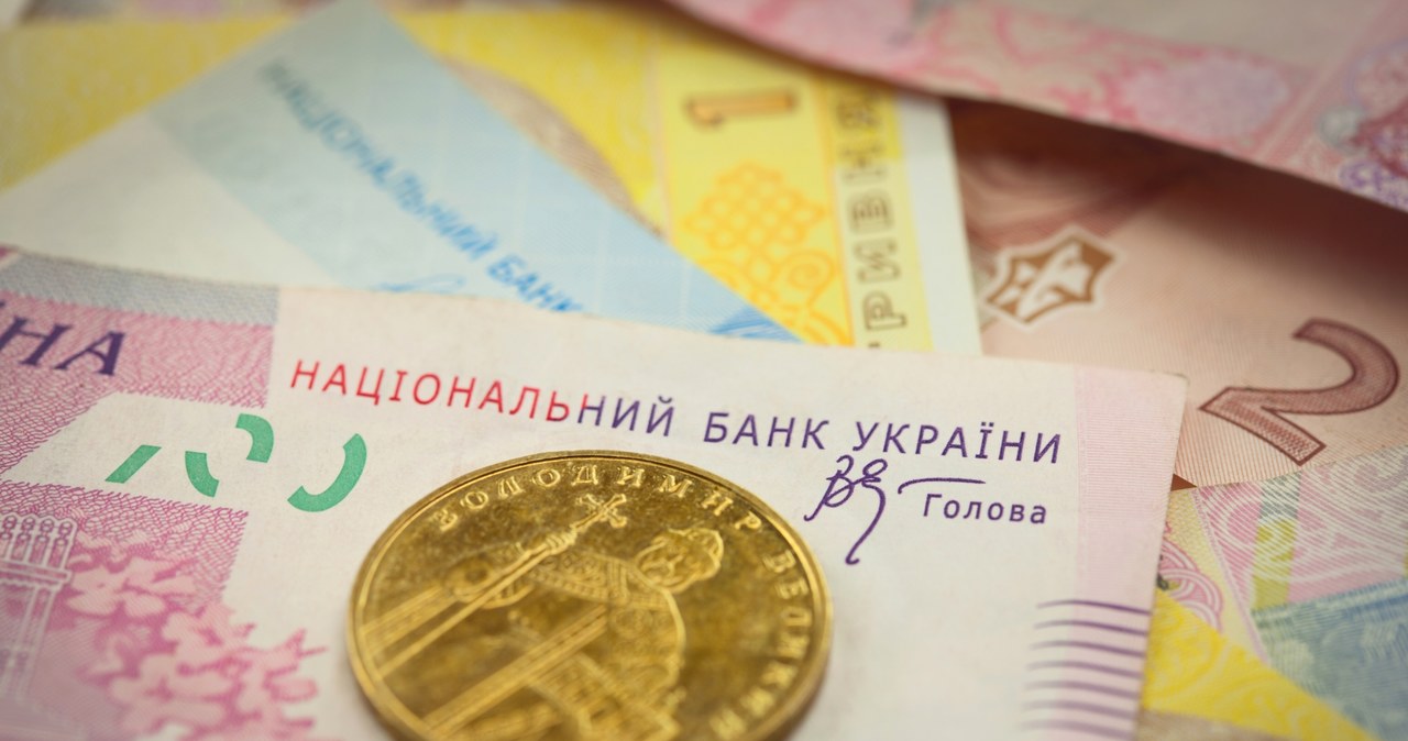Ukraińska hrywna była jedną z najmocniejszych walut w 2019 r /&copy;123RF/PICSEL