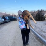 ​Ukraińska rodzina ratowała swojego psa. "Mąż niósł go na ramionach do granicy"