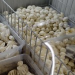 mrożonki Ukraińska sieć z mrożonkami zapowiada ekspansję w Polsce. Otworzy setki sklepów