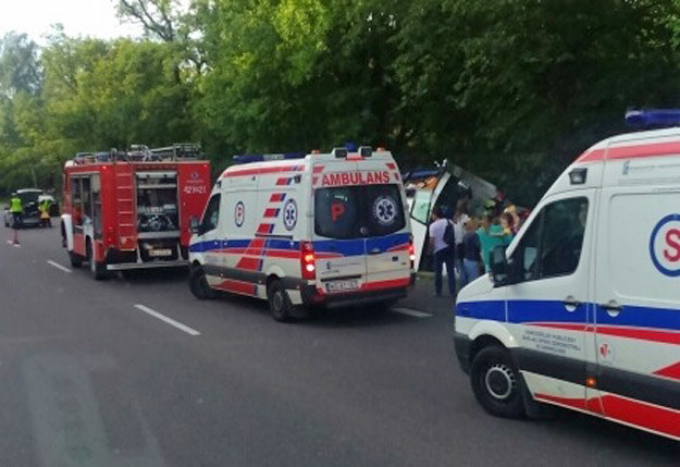 Ukraiński autokar wpadł do rowu i uderzył w drzewo /RMF