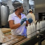 Ukraińskie firmy mleczarskie domagają się embarga na nabiał z Polski