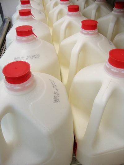 Ukraińskie mleko i sery nie wjadą od poniedziałku do Rosji /&copy;123RF/PICSEL