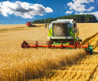 Ukraińskie rolnictwo walczy dziś na dwa fronty