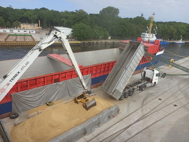 Ukraińskie zboże stanowiło niemal połowę przeładunku w porcie w Kołobrzegu. /miastokolobrzeg.pl /