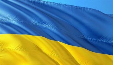 Українці створюють тисячі компаній у Польщі. Домінує одна галузь