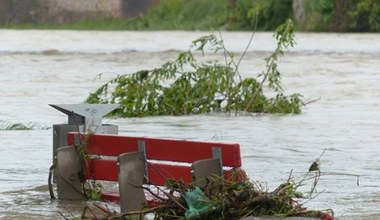 УКРАЇНСЬКІ ВІЙСЬКОВІ ДОПОМОГЛИ ПОЛЯКАМ