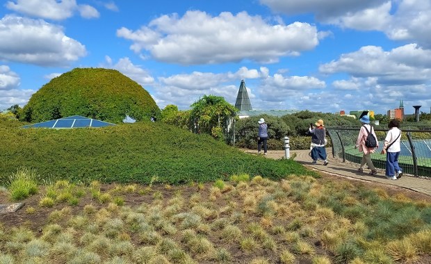 "Ukryta perła" w sercu Warszawy. Brytyjski dziennik zachwycony