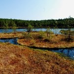 Ukryte jezioro, a na nim malutkie, okrągłe wyspy. Skarb na północy Polski