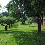 Ukryte za murami połacie zieleni. Problem klasztornych ogrodów w Krakowie