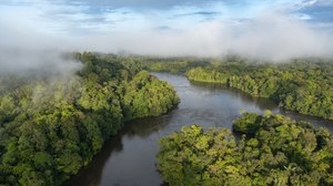 Ukryty obieg wody w Amazonii. Naukowcy wciąż niewiele o nim wiedzą