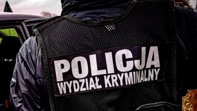 Ukrywał się od 14 lat. Wpadł podczas podróży autobusem z Londynu