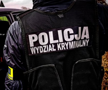 Ukrywał się od 14 lat. Wpadł podczas podróży autobusem z Londynu