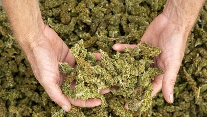 ​Ukrywał się ponad 25 lat. Podejrzany o przemyt narkotyków zatrzymany  